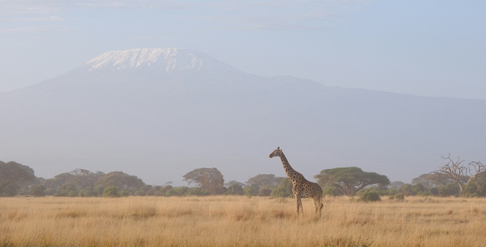 Mount Kenya National Park