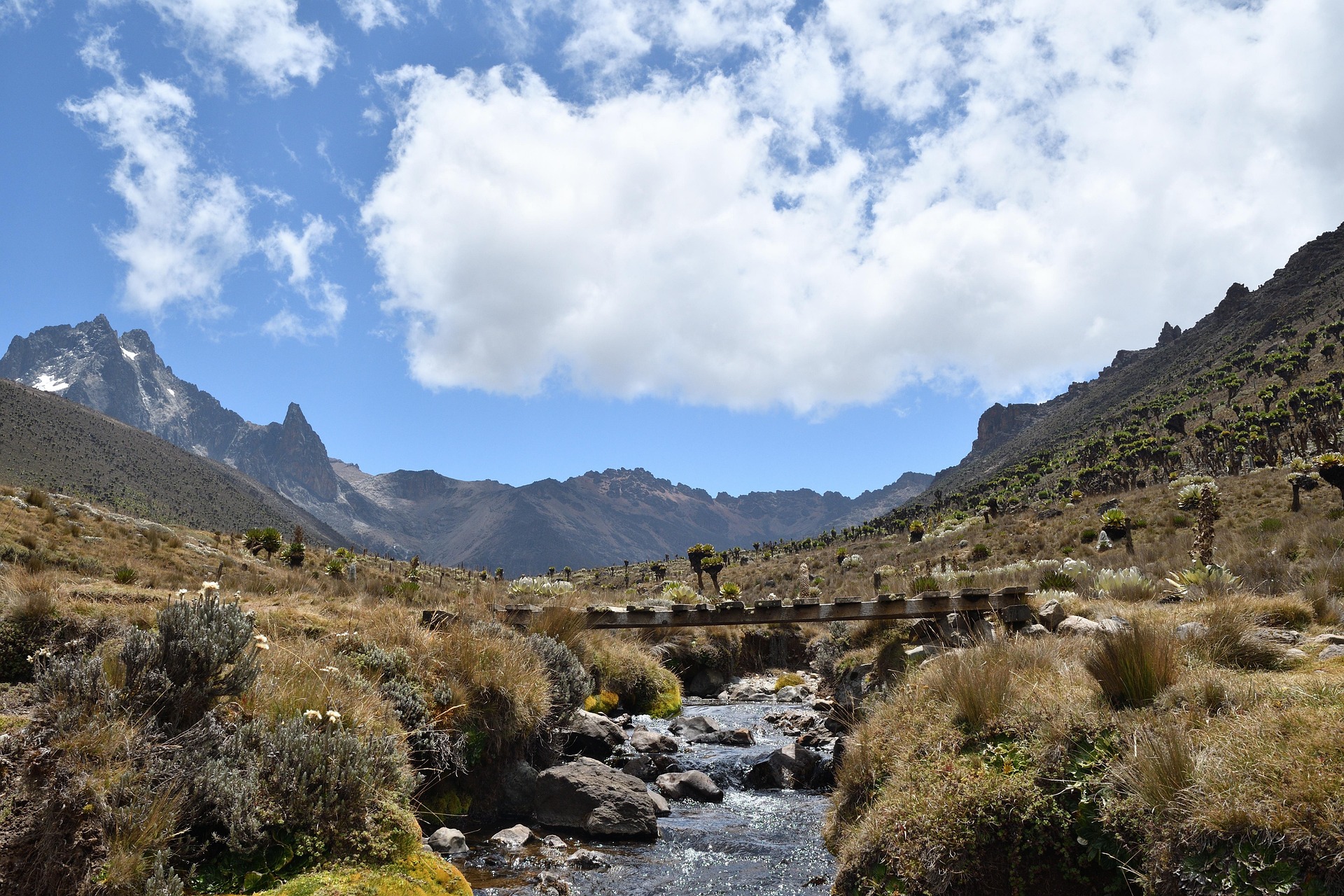 Mount Kenya National Park and Reserve